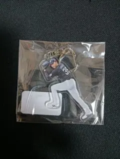中日ドラゴンズ #13 岩瀬仁紀投手 がちゃ 引退記念ガチャ キーホルダー