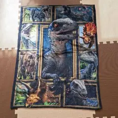 フリースケット
