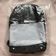 埼玉西武ライオンズ 記念グッズ