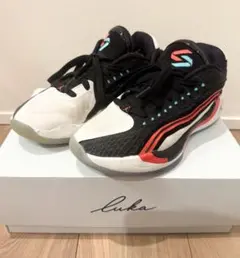 Item thumbnail for item 5fcf7061-88c6-4a5e-bf4e-5e8a448bf58b