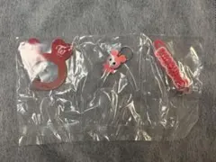 TWICE LOVELYS アクリルカラビナフロッキーマスコット チェヨン