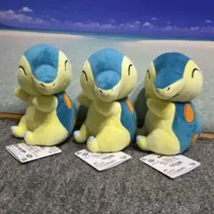 ポケモン ほぺぴたぬいぐるみ ヒノアラシ 3体セット