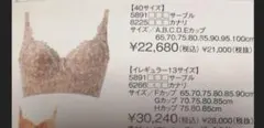 新品未使用バストフィクスのサムネイル