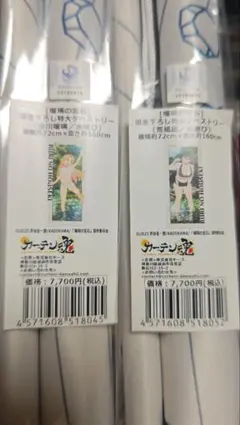 機動戦士ガンダム 閃光のハサウェイ B2 タペストリー ケネス ギギ