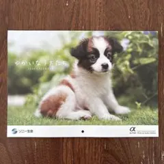 Item thumbnail for item 3f604171-3e32-4bc5-979b-ff9c66536892