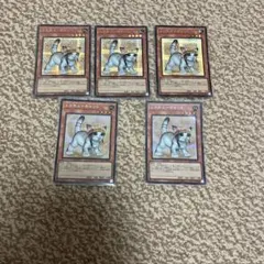 遊戯王 レスキューキャット 絵違いシークレット 5枚セット QCACのサムネイル