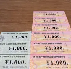 ビックカメラグループ株主優待券　9000円分
