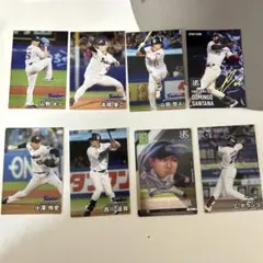 プロ野球チップス2025 セット販売