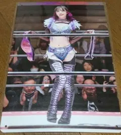 上福ゆき　 女性レスラー　 メタルポートレート　A4サイズ