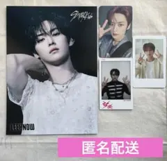 スキズ　リノ　まとめ売り　タワレコフライヤー　樂star ラキドロ　封入　流通