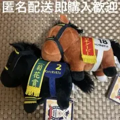 サラブレッドコレクション マンハッタンカフェ ジャングルポケット