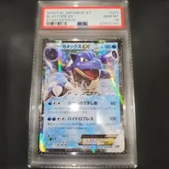 2026年最新】カメックス psa10の人気アイテム - メルカリ