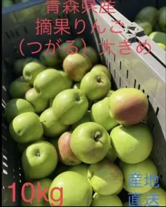 大特価限定セール　青森県産摘果りんご　ふじ.つがる、紅玉MIX　10kgのサムネイル