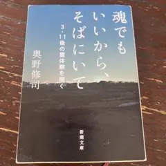 Item thumbnail for item b135005e-c29e-41a5-9b17-affdbcc04b33