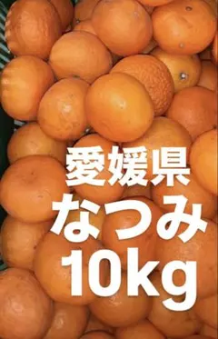 みかん出品 愛媛県八幡浜市産 皮むき冷凍みかん1kg｜みかんの商品詳細｜ポケット