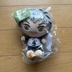 ぬいもっち 木兎光太郎