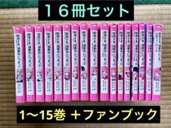 総長さま、溺愛中につき　全巻　1-15巻　＋ファンブック