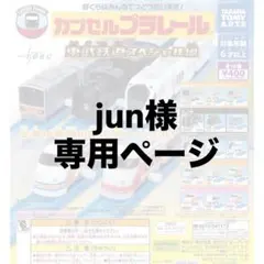 junさん　専用