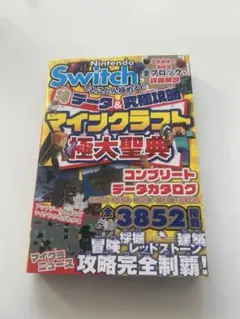 Nintendo Switch マインクラフト極大聖典　攻略