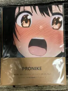 OTAMONO PRONIKE アニメキャラクタータオル 9枚セット 2025年最新】PRONIKEの人気アイテム - メルカリ