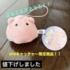 みんな大好き！！ めんだこ　ぬいぐるみ　　UFOキャッチャー　メンダコ　かわいい
