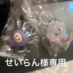 せいらん様専用 CHILLIとSOM