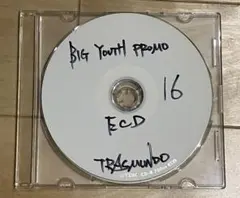 限定特典 ECD BIG YOUTH PROMO CD-R プロモ