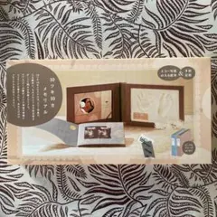 Item thumbnail for item 2cce2e3b-e8b6-43f1-a4f6-1df6d29f2898