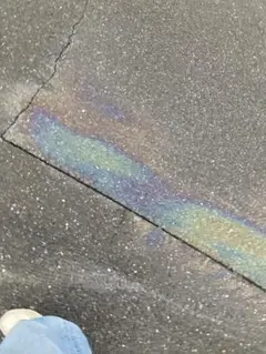 せんよー