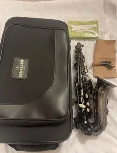 Item thumbnail for item 9abf561b-cc2f-4528-b887-d7bb8c9b8028