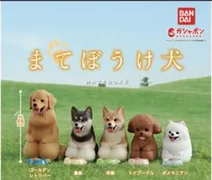 kotori様 リクエスト 2点 まとめ商品