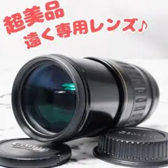 Item thumbnail for item 8ab368a8-665d-4684-ae6b-bcd1de26c6a6