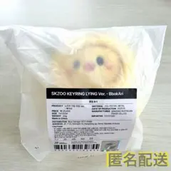 straykids dominate celebrate キーリング ポガリ