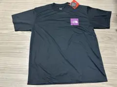 THE NORTH FACE スモールロゴT Lサイズ 新品