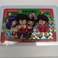 バンダイ らんま1/2 本弾 香港 ノーマル コンプリート オールゴールド