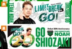 Item thumbnail for item 3d4dcc56-db3c-44aa-8c8a-c90e3e90b16a