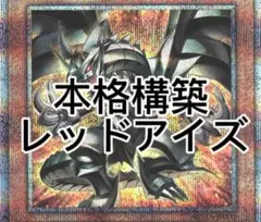 遊戯王 本格構築 メタル化レッドアイズデッキ