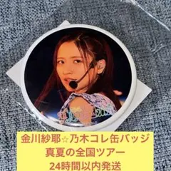 Item thumbnail for item ac60b4fe-8ac7-444d-bf05-72b153c3886c