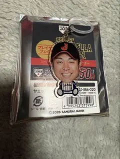 髙橋宏斗 応援グッズ