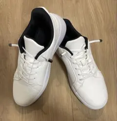 Item thumbnail for item 69b05dfd-3b62-462b-a816-159ea4b71dd0