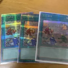 化石調査 25thシークレット　3枚