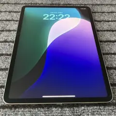 117 【早い者勝ち】 iPad Pro 11 1世代 256GB グレイ