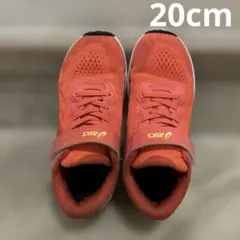 Item thumbnail for item d1113741-298e-40a0-980f-c6662d1dda51