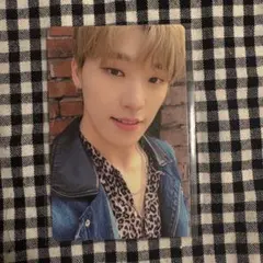 An Ode ディノ トレカ