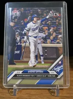 dihondahideki様 リクエスト 3点 まとめ商品