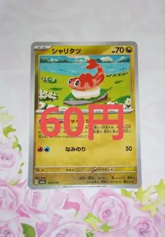 シャリタツ　在庫2