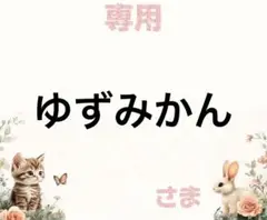 専用