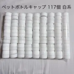 Item thumbnail for item 6df443a5-9efa-4322-b334-a8d2b5f5cf19