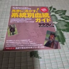 馬券に活かす!系統別血統ガイド