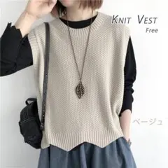 ニットベスト　レディース　フリーサイズ　ベージュ 着回し　シンプル 重ね着
